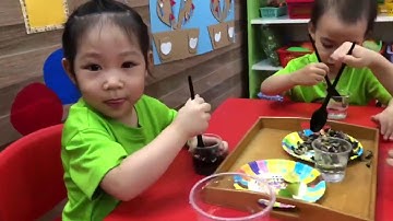 Pre A - Thí nghiệm sự đổi màu của hoa đậu biếc