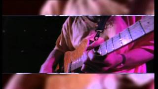 Video thumbnail of "Van Halen - 316 Guitar Solo (Live)"