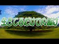 【四国めたん】生きてるだけで丸儲け【オリジナル曲】