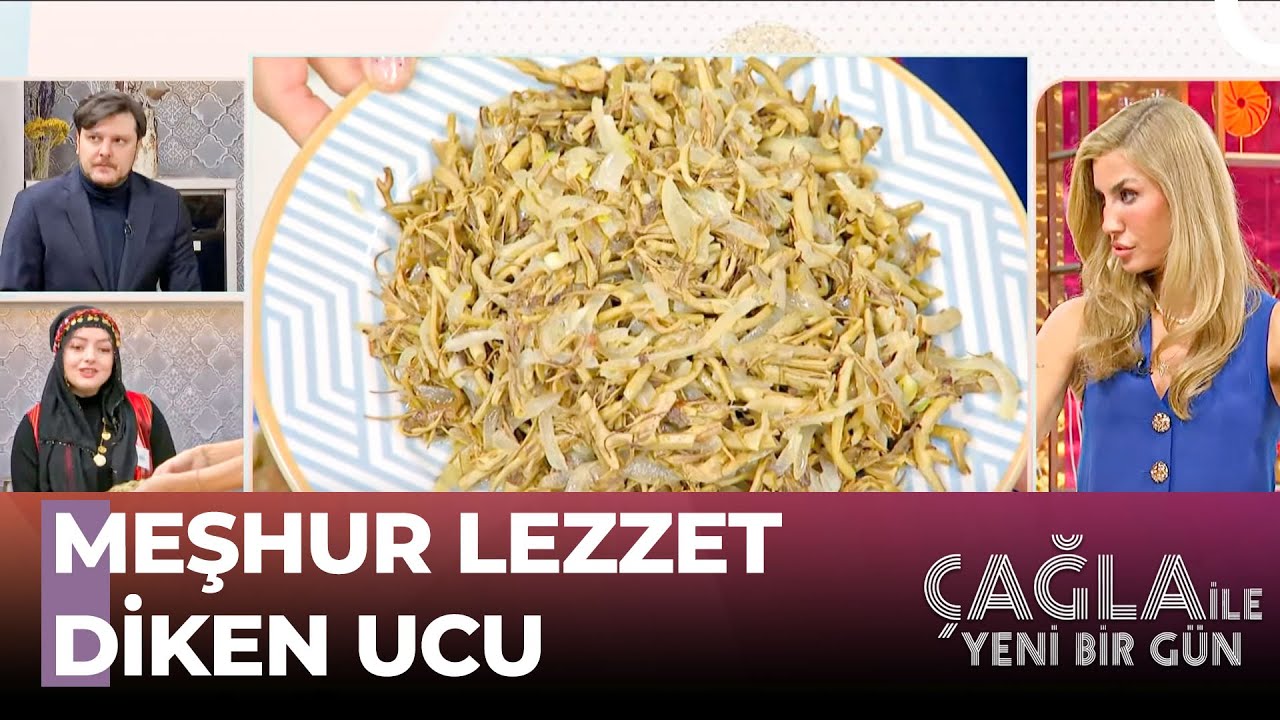 Ordulu Kadınlardan Yöresel Yemek Tarifleri – Çağla İle Yeni Bir Gün 1155. Bölüm