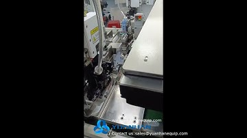 Wire two ends crimping and one end housing shell inserting machine - Yuanhan
