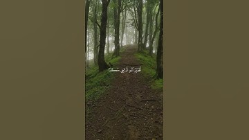 تلاوة من القرآن الكريم بصوت الشيخ عبدالله القرافي | سورة الأنعام آية رقم ١١٤ | تلاوة جميلة جداً