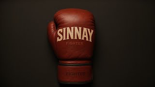 Fighter - Sinnay 