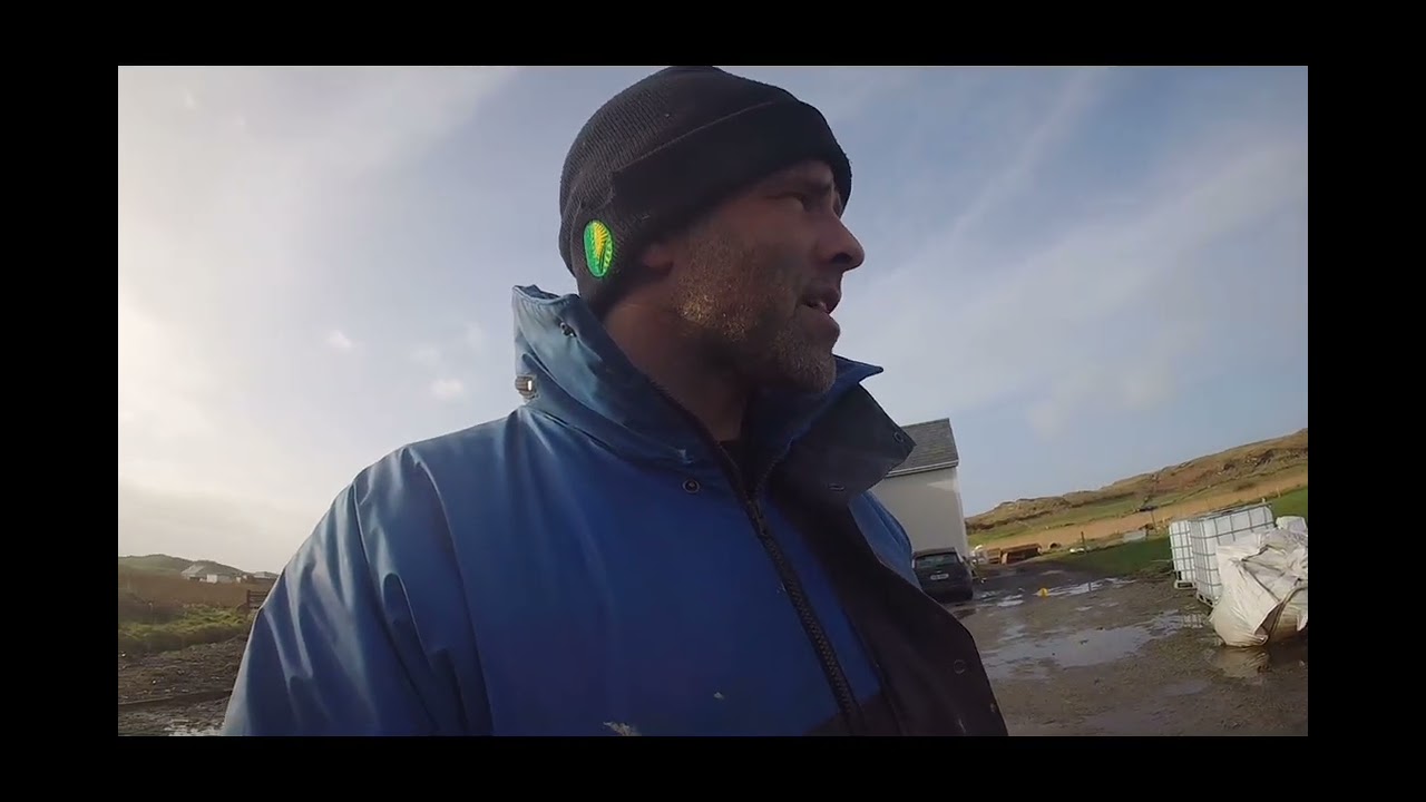 Getting the shed roofed. 