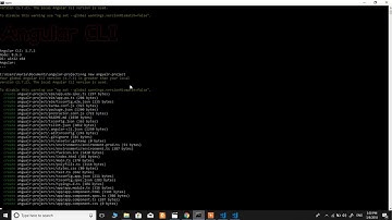 Installing ng and vs code