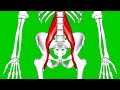 Squat everyday Day 543: Strong Psoas Strong Human