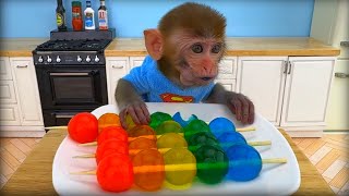 Monkey Baby Bon Bon eats rainbow jelly with puppies and bathes with ducklings in the bathroom