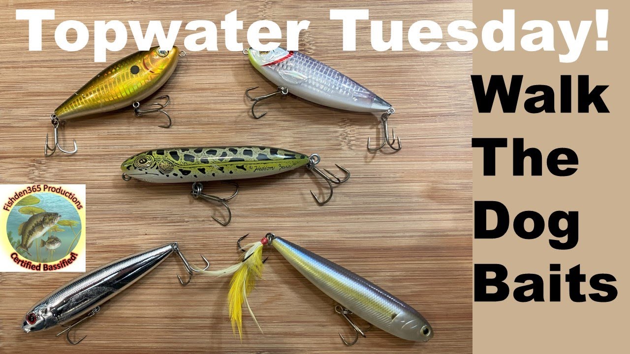 The Best TOPWATER Lures for BASS!