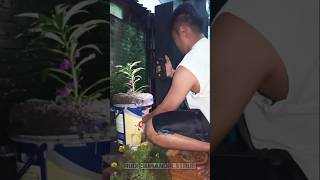 video cinematic effect editing #editing #effectvideo #cinematic #slowmotion #editingvideo #video