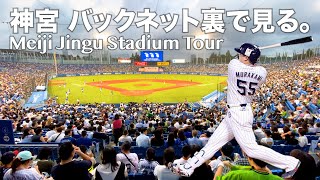 Report on Meiji Jingu Baseball Stadium / Professional Baseball in Japan