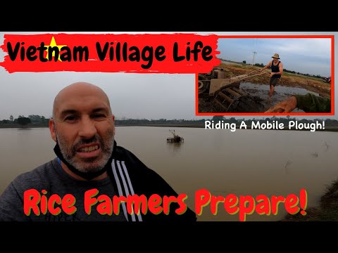 Vietnamese Rice Farmers Prepare | Bad News in The Village