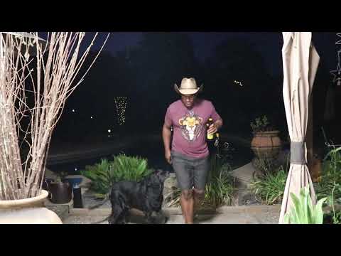 Git up challenge