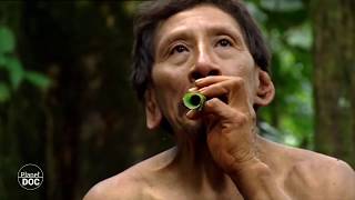 Huaoranis: Tribus de la Selva 4