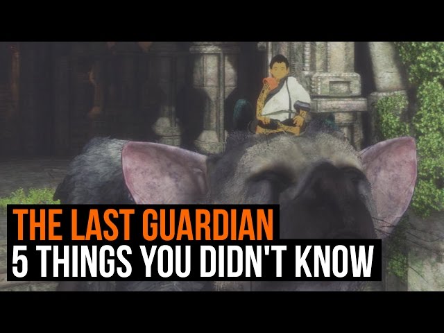 Why you might not want to play The Last Guardian 