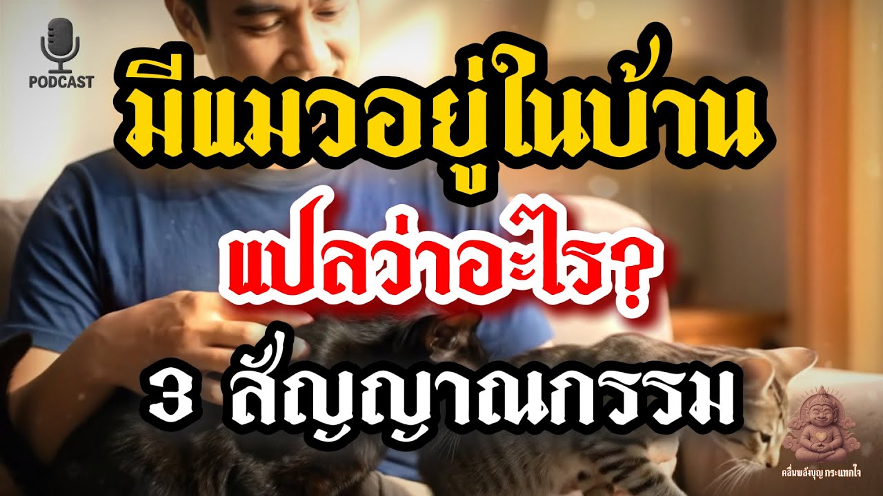 มีแมวอยู่ในบ้าน แปลว่าอะไร? 3 สัญญาณกรรมที่ซ่อนอยู่