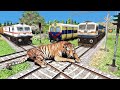 Three trains vs tiger 2  stops the train  train simulator