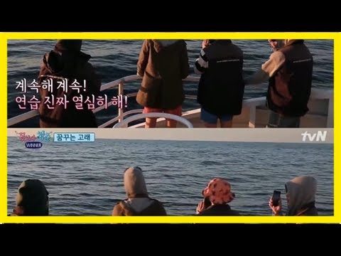 '꽃보다청춘위너' 아기 고래 본 멤버들
