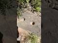 More Grinding Bowls Found In Bidwell Park Chico Ca ! Part 2