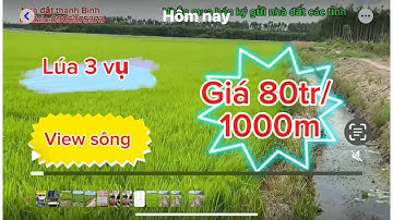 65 công đất ruộng,thạnh Phước,thạnh hóa,Long an(cũ)
