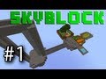 Skyblock  episode 1