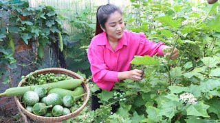 Pea Eggplant, Round Eggplant, Sponge Gourd Recipe / Combo Vegetables Recipe / Cooking With Sreypov