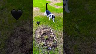 Gathering by George’s final resting place 🖤