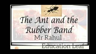 The Ant and the Rubber Band ;  #Mathematical #paradox
