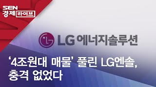 ‘4조원대 매물’ 풀린 LG엔솔, 충격 없었다