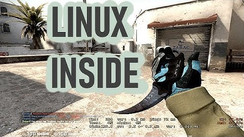 Playing CS:GO On Linux Ubuntu/Mint! (Counter-Strike: Global Offensive)