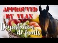 Nos chevaux goûtent des fruits ! 🍉🍌🍇🍓