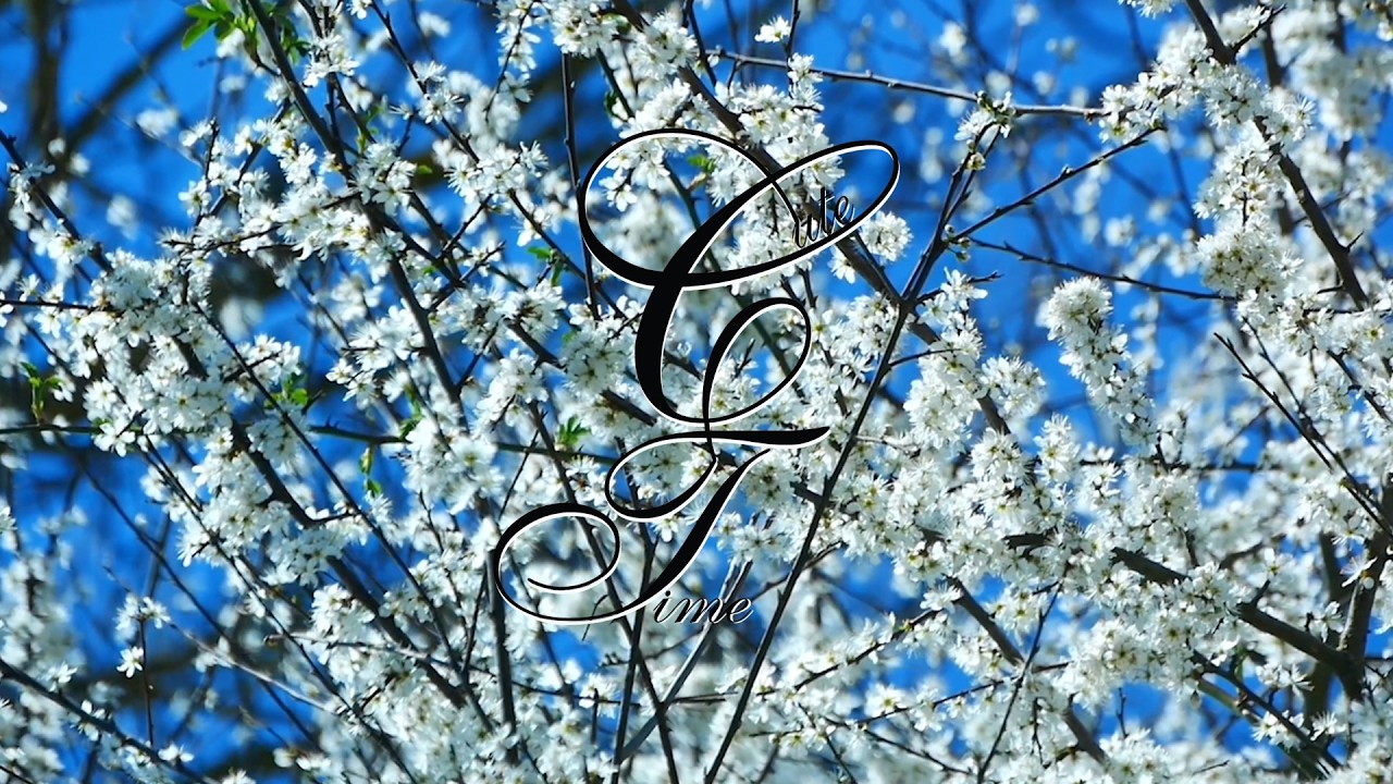 Morning Relax : Cute Time : Relaxing and Soothing Music