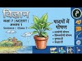 Class 7 Science Chapter 1 | पादपों में पोषण | Full Chapter One Shot 🎯 NCERT 2026-27