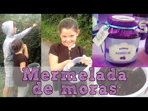 Vídeo: Tarta De Mermelada Y Mora De Old Bachelor