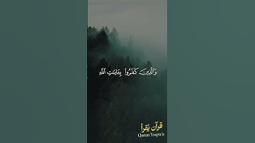 الله خالق كل شيء #سورة_الزمر #القرآن_الكريم #فارس_عباد #اكسبلور#راحة_نفسية #لايك #تلاوة_خاشعة #تلاوة