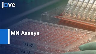 MN Assays for Measuring Influenza Neutralizing Antibody | Protocol Preview