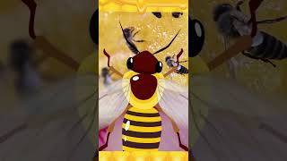🐝 Así funciona una colmena por dentro | Vídeos Educativos para Niños de PRIMARIA | @HappyLearningES