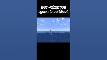 pov when you spawn in a island  #meme#minecraft #minecraftmemes