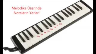 MELODİKA İLE OKUL ŞARKILARI ( Kuş Uçar )