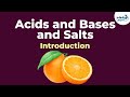 Acids and bases and salts  introduction  chemistry  infinity learn