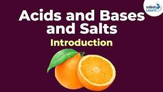 Acids and Bases and Salts - Introduction | Chemistry | Infinity Learn