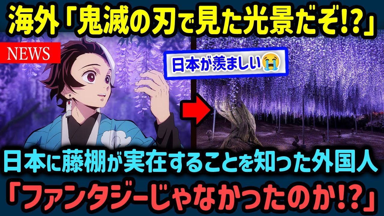 【海外の反応】「鬼滅の刃の「あの藤棚」が実在しただと!?」日本の藤棚と1000年以上続く歴史に世界中が大興奮する事態に…！【世界の反応NeWS】