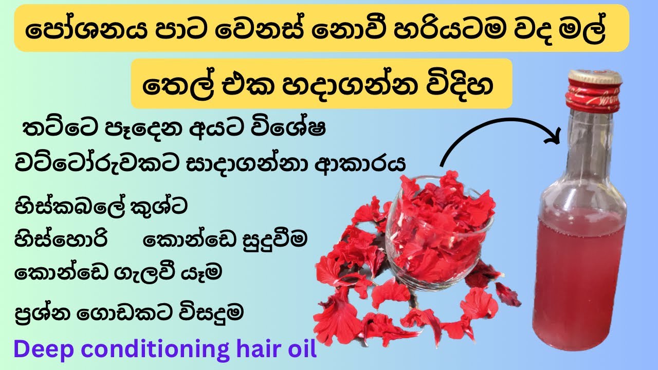 How to make Hibiscus oil without loosing nutrients/කොන්ඩෙට තෙල් සත්කාර/hair oil making at home