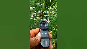 ADCOM 20x Macro Lense 😮🔥 || Macro Mobile Photography 🐝🐞🌿📷 #nature #macrolens #mobilephotography