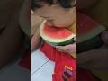 semangka joshua beli #lucu #food