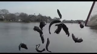 New Jersey trout season kicks off with excitement This is our Super Bowl