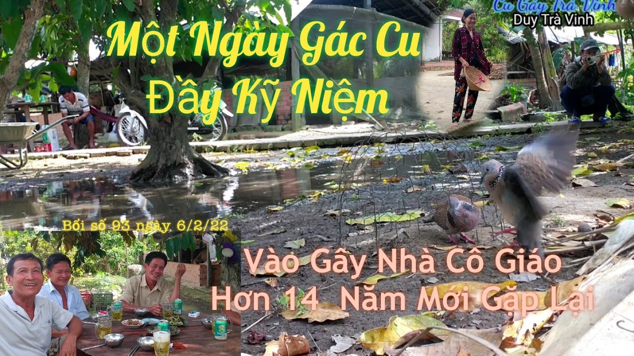 Gác Dùm Cu Xẩy Vào Gây Nhà Cô Giáo Hơn 14 Năm Gặp Lại || Bổi số 93 Ngày 6/2/22 - Cu Gáy Trà Vinh