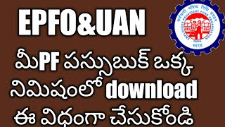 Download PF passbook new version Telugu screenshot 4