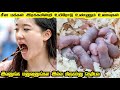 சீன மக்கள் உயிரோடு உண்ணும் 6 மோசமான உணவுகள் | 6 Foods Eaten Alive by Chinese people | savage point