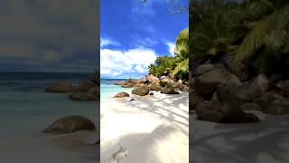 ? Seychelles ??