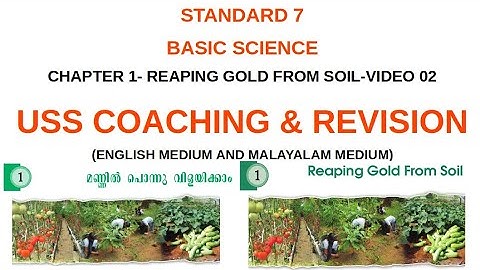 STANDARD 7 BASIC SCIENCE | REAPING GOLD FROM SOIL VIDEO PART 02 | REVISION | USS COACHING